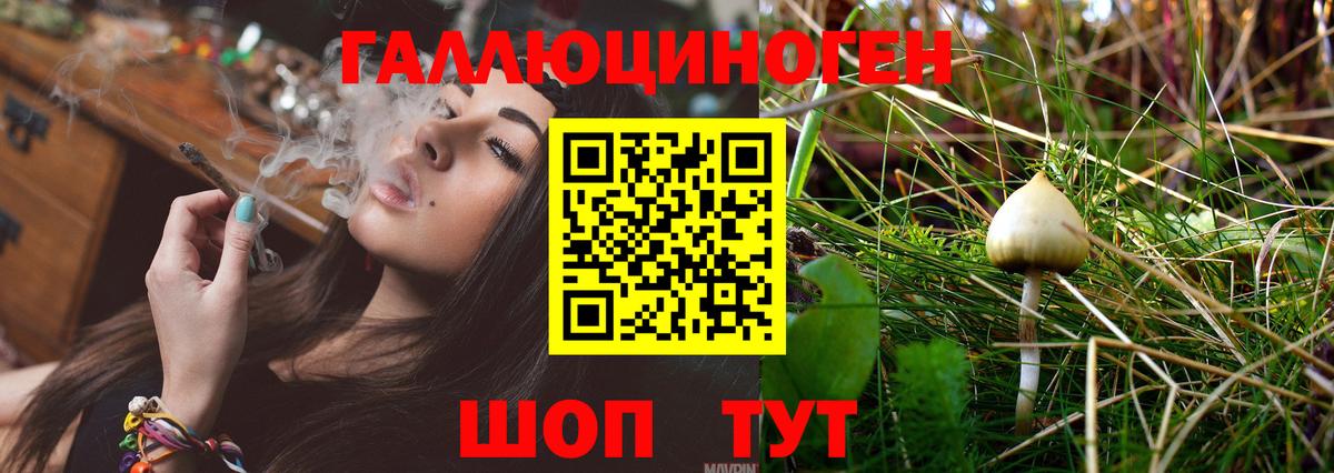 Галлюциногенные грибы мицелий Камышин