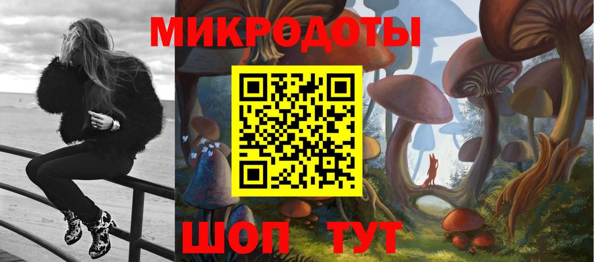 Камышин  цена   Вход с VPN  Галлюциногенные грибы Cubensis 